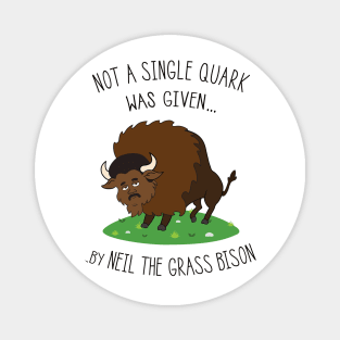 Neil deGrasse Tyson / Bison Magnet